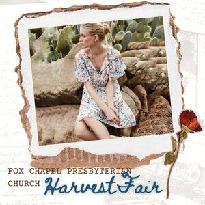 Maeve Multi Color High Low V-neck Open Flutter Sleeves Dress, Size S